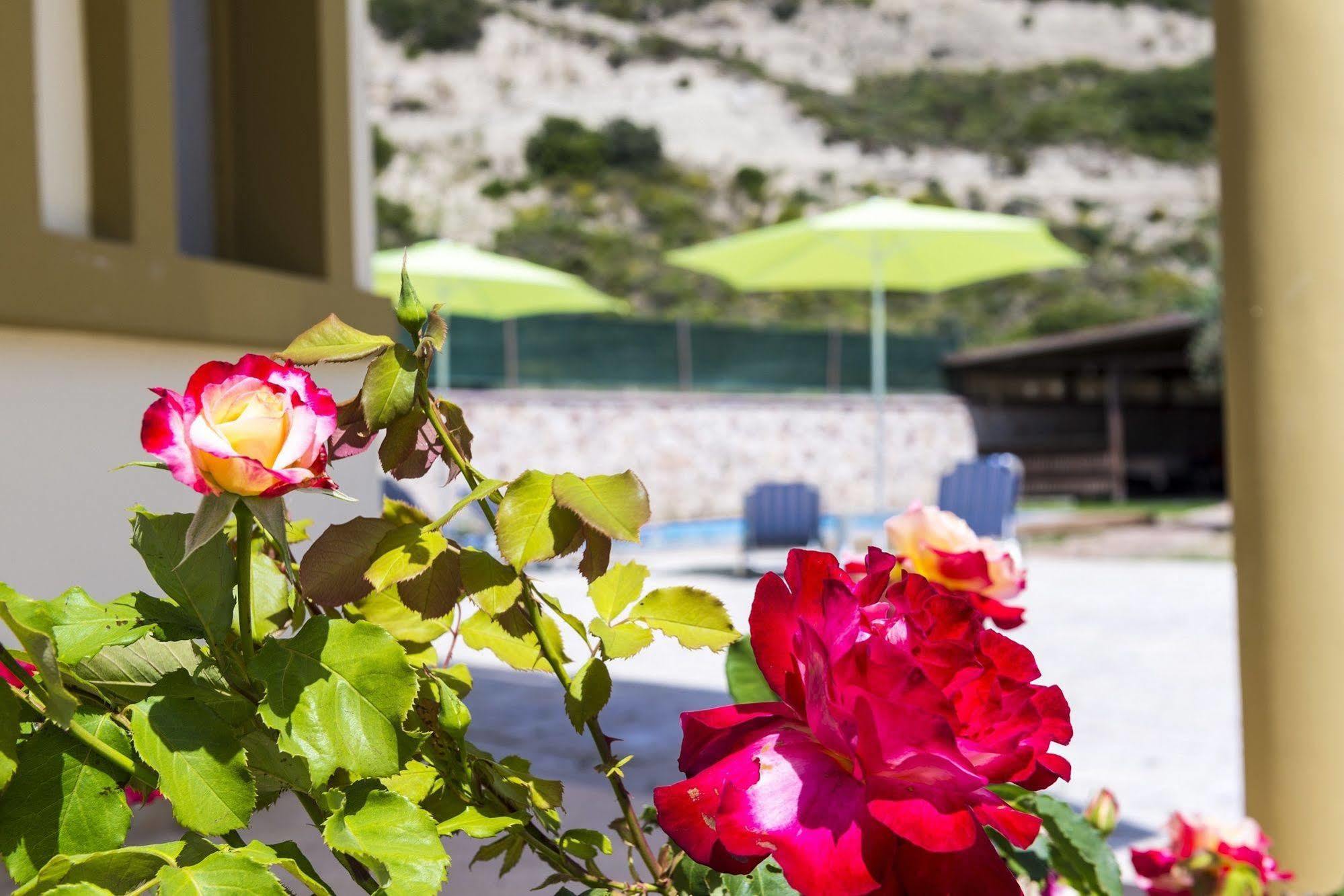 Village View Hotel
